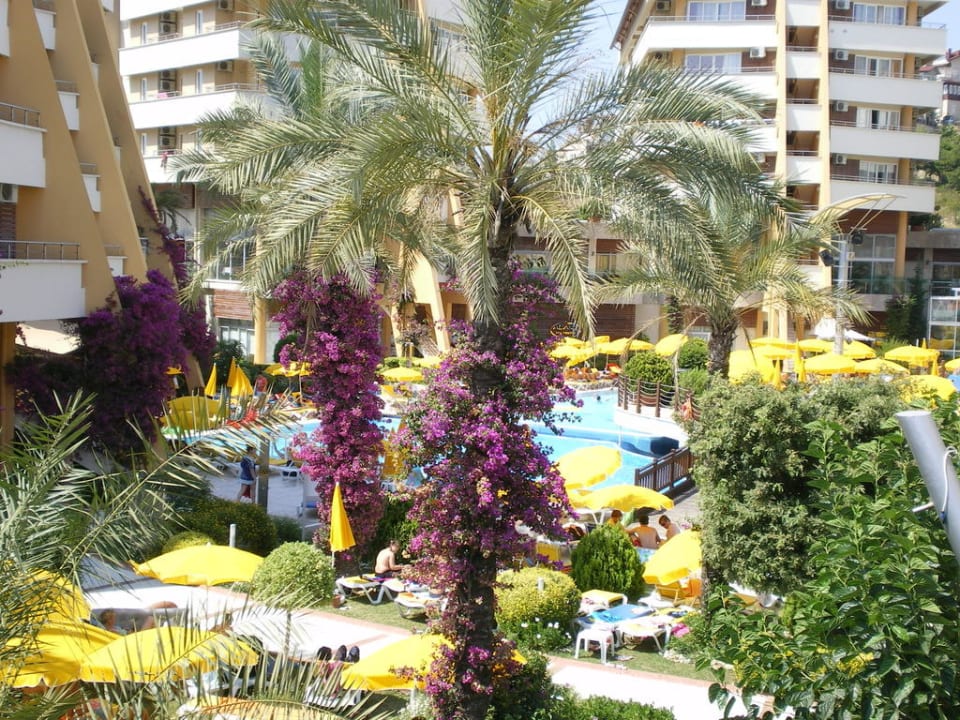 Poolanlage mit Gartenblick Alaiye Resort & Spa