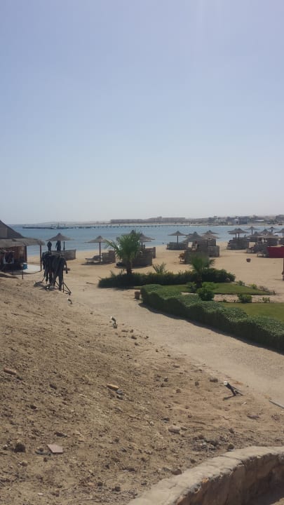 Strand Three Corners Equinox Beach Resort