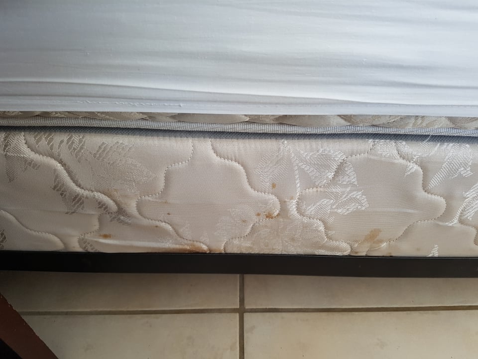 Zimmer Casablanca on the Ocean - East Tower