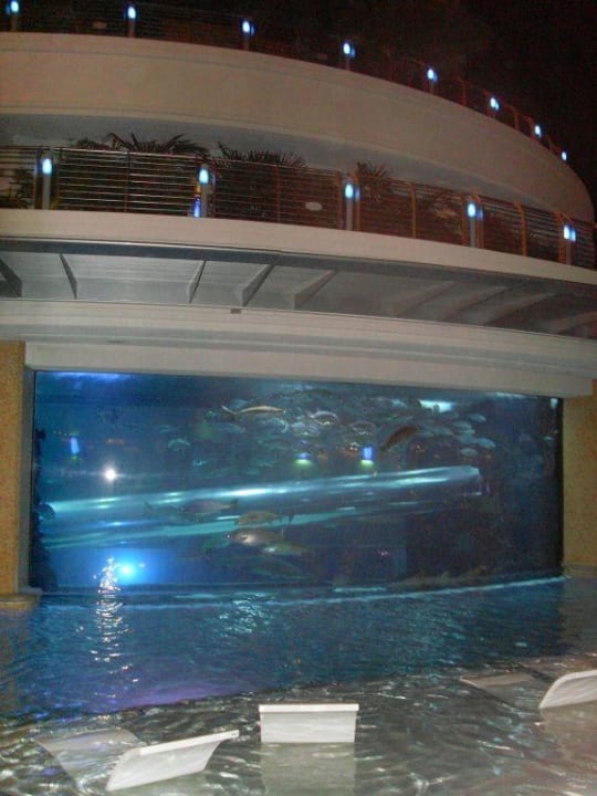 The Tank Hotel Golden Nugget