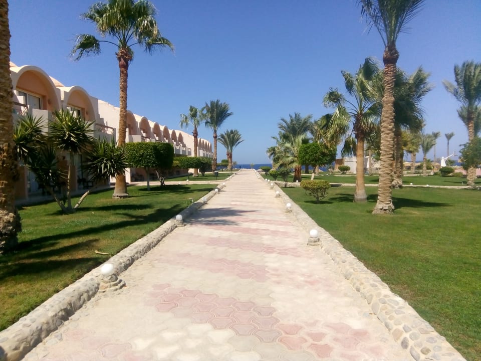 Gartenanlage Three Corners Sea Beach Resort