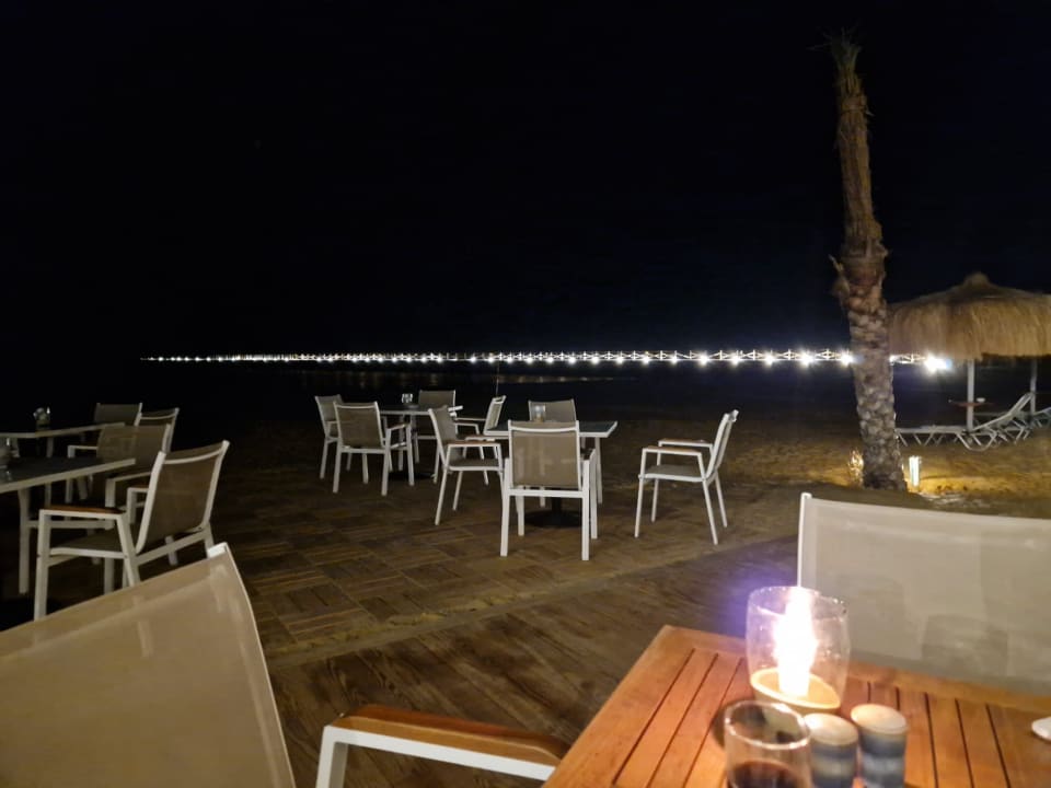 Gastro JAZ Elite Amara