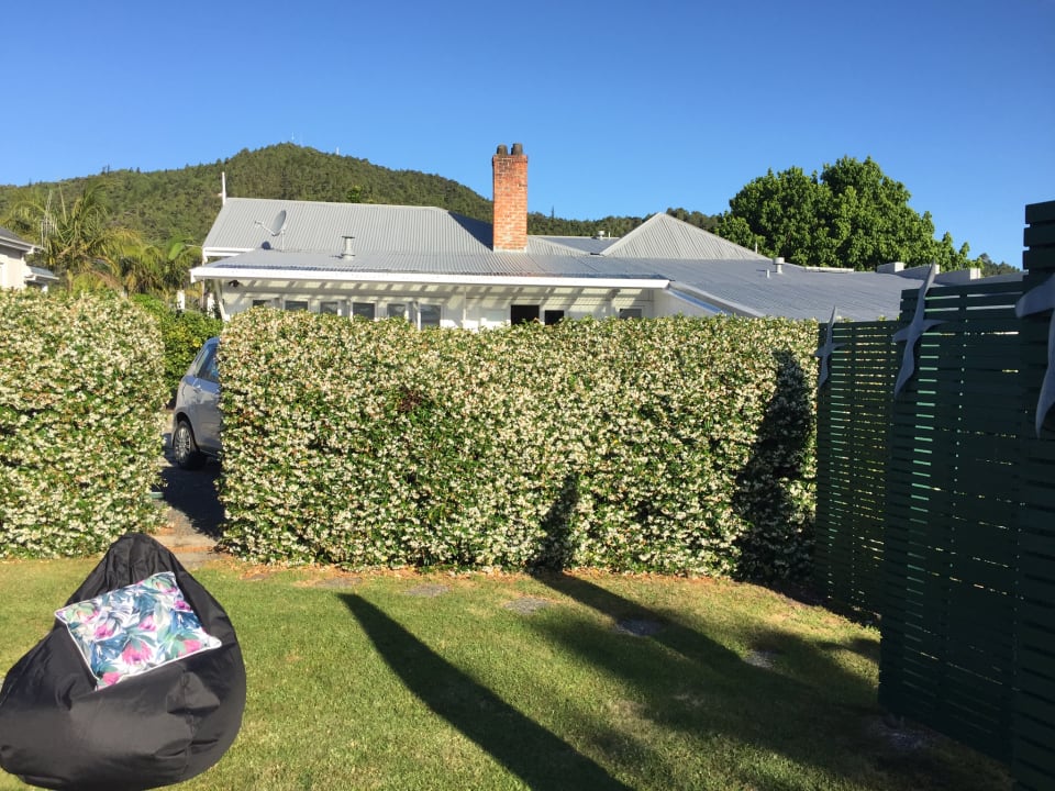 Gartenanlage Chelsea House Bed and Breakfast