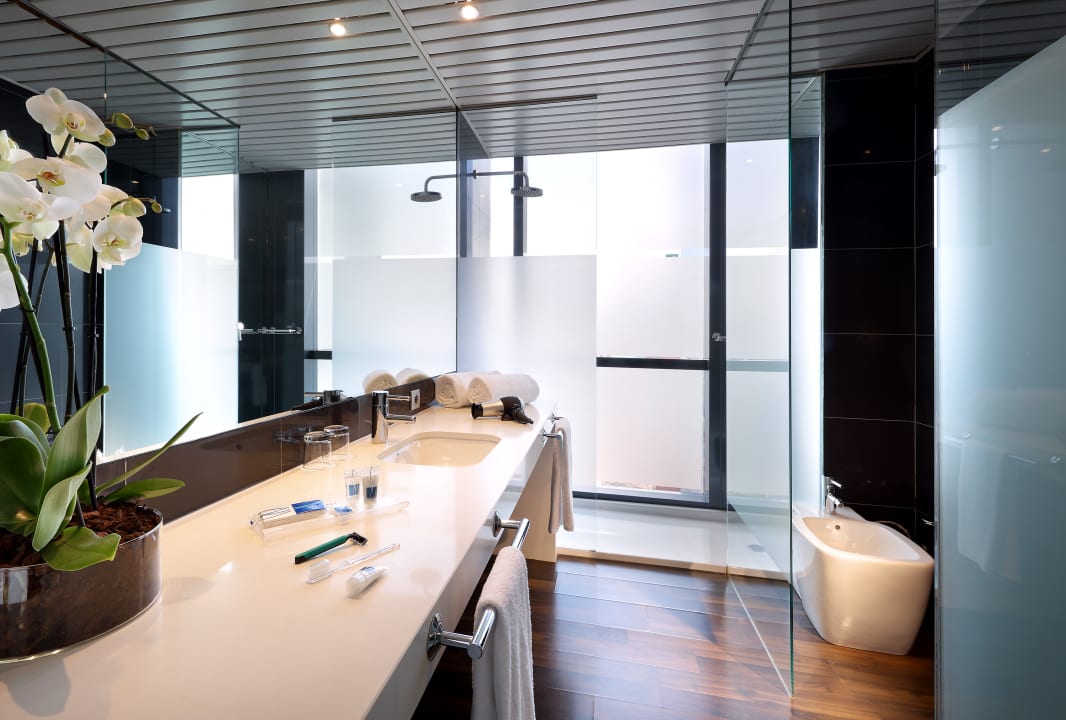 Zimmer Crisol Puerta de Burgos