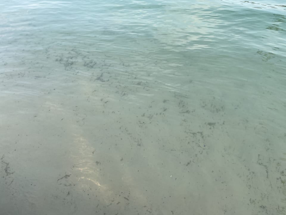 Strand Ferienzentrum Schloss Dankern