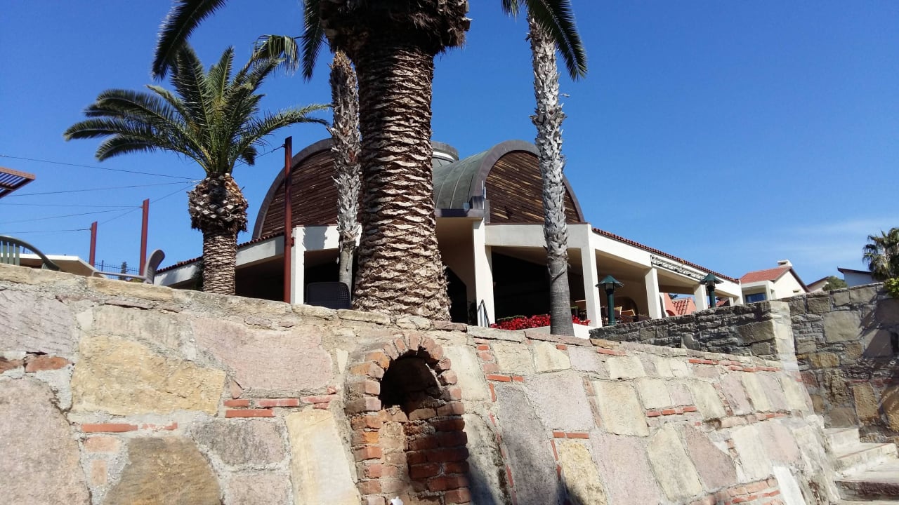 Blick zur Bonsai Snack Bar hoch Arum Barut Collection