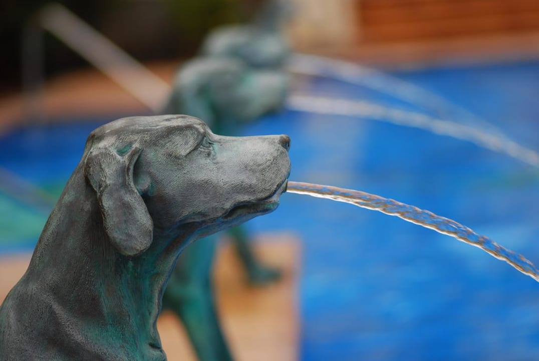 Kein Pool für Hunde  Lopesan Costa Meloneras, Resort & Spa