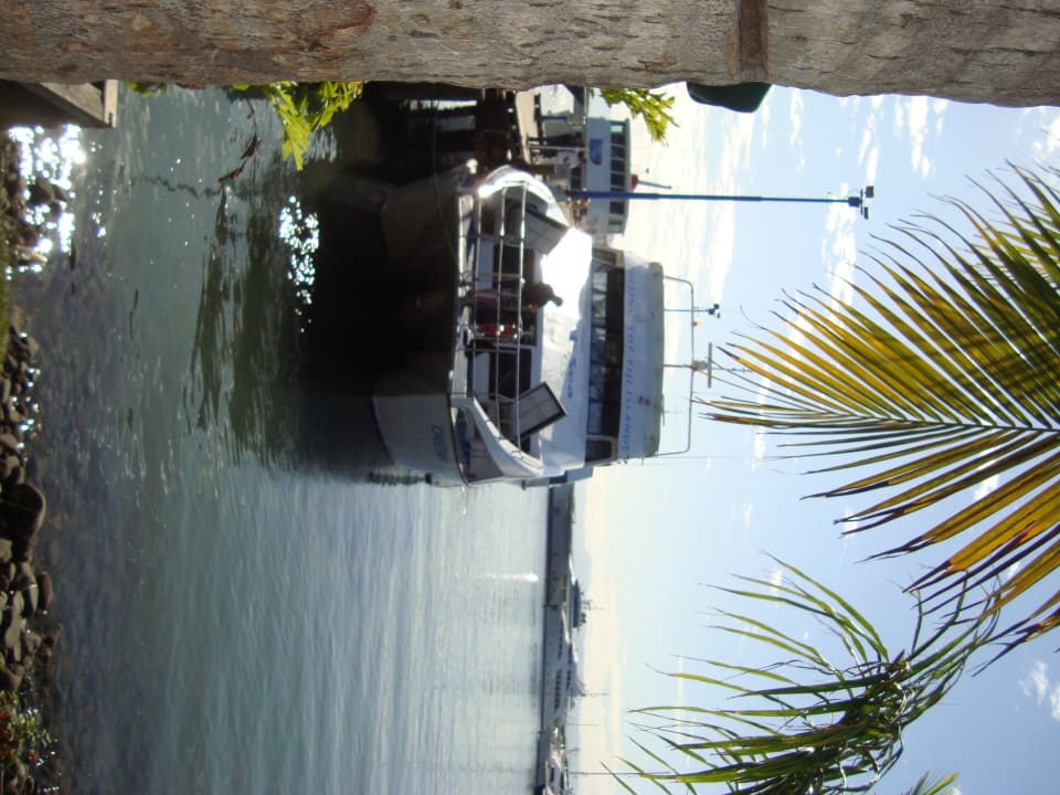 Transport zur Insel...lieber Wasserflugzeug nehmen Hotel Castaway Island Resort