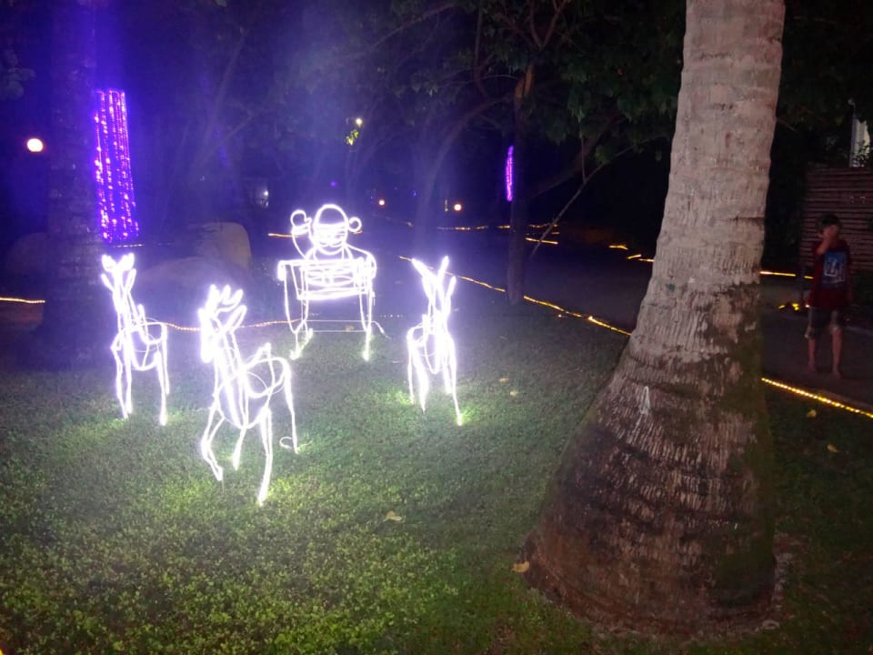 Christmas Cinnamon Hakuraa Huraa Maldives