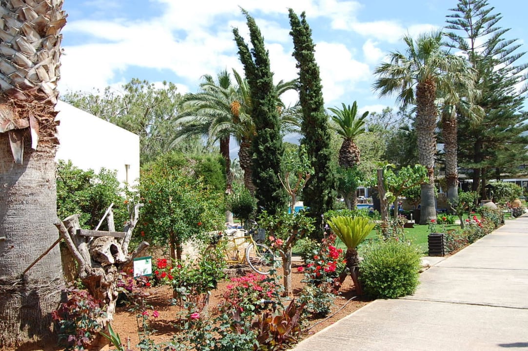 Sehr schöne anlage Phãea Cretan Malia