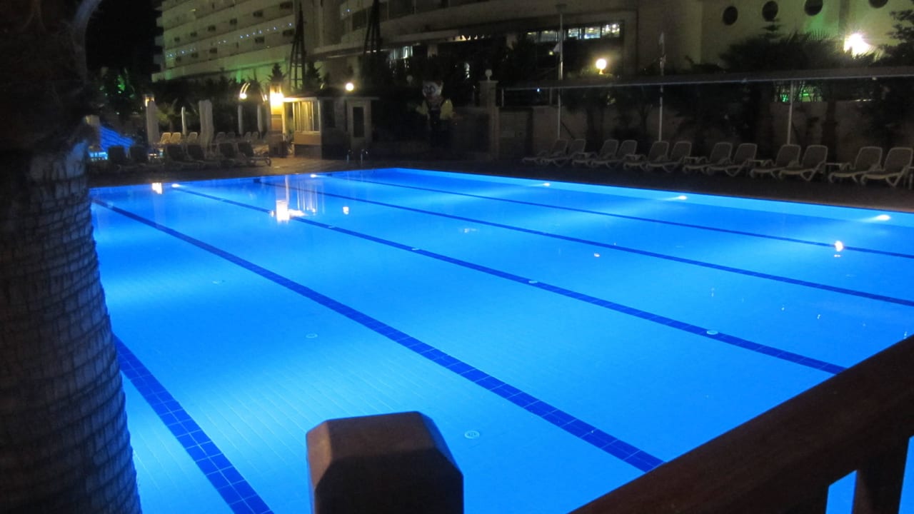 Poll Dizalya Palm Garden