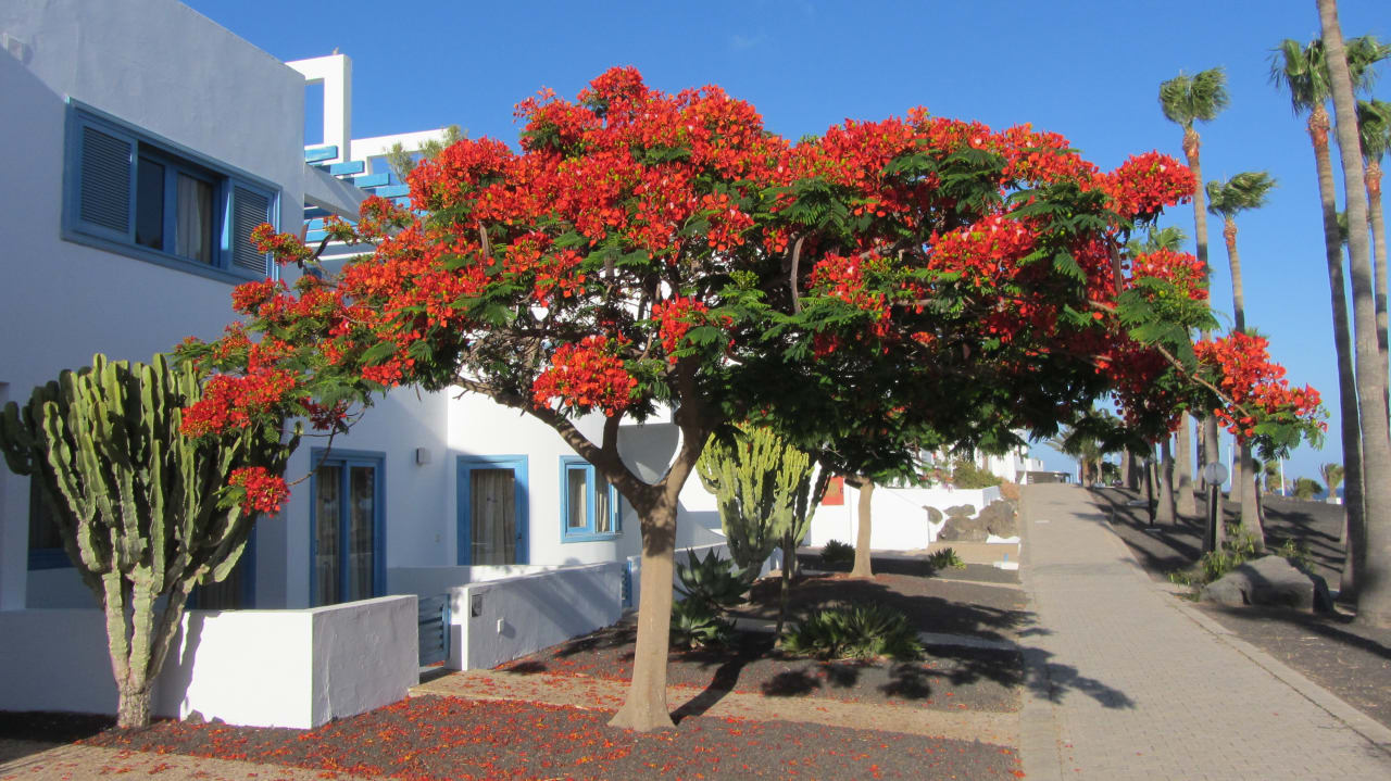 Außenansicht Aparthotel Costa Mar