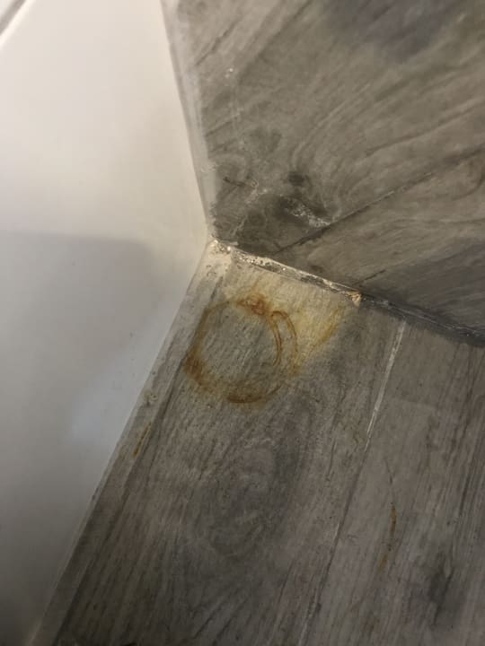 Zimmer Gold Island Selected