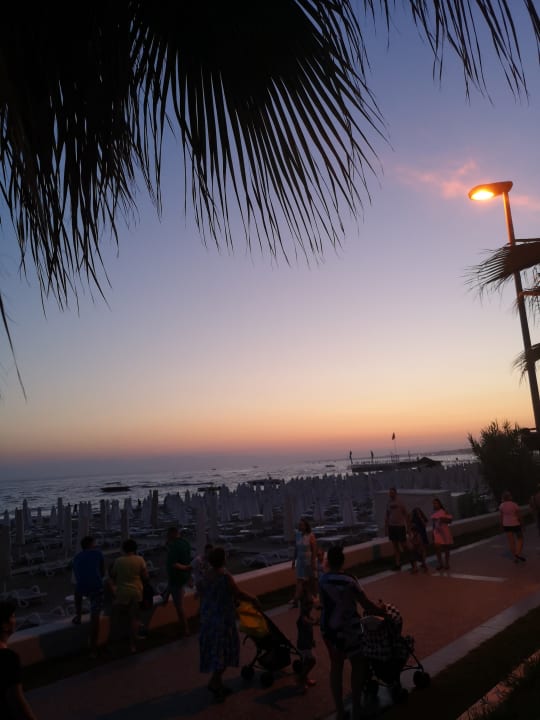 Strand PALOMA Perissia