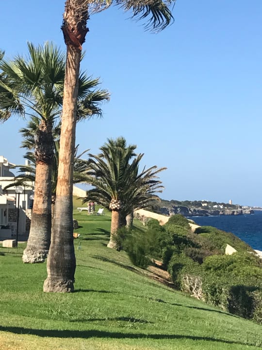 Gartenanlage blau punta reina