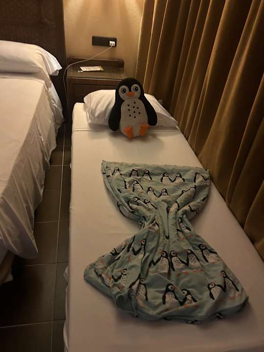 Zimmer Hotel Riu Touareg