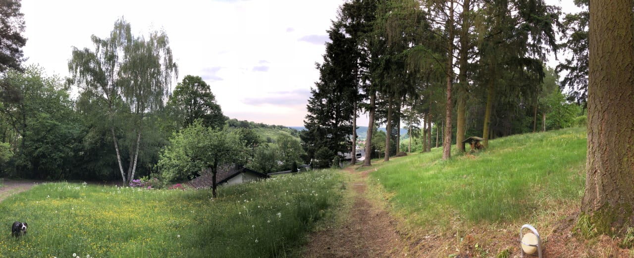 Gartenanlage Hotel Haus am Wald