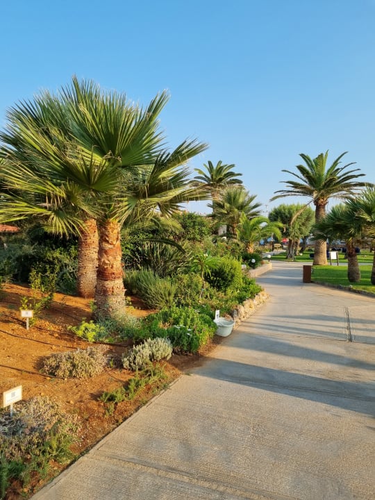 Gartenanlage Anissa Beach & Village