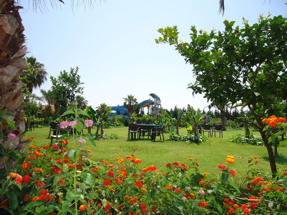 Amelia Beach Resort Hotel & Spa Vita Silva Hotel