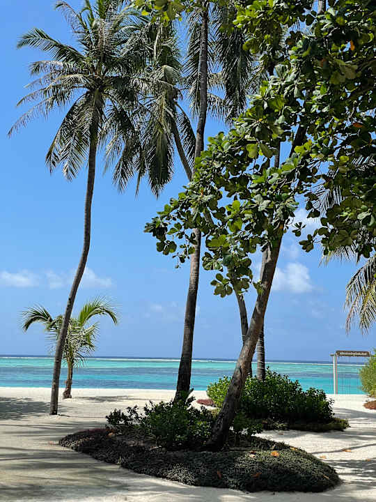 Strand Le Meridien Maldives Resort & Spa