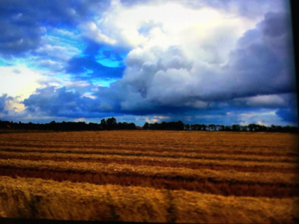 Ausblick Ferienhof Groot Plaats