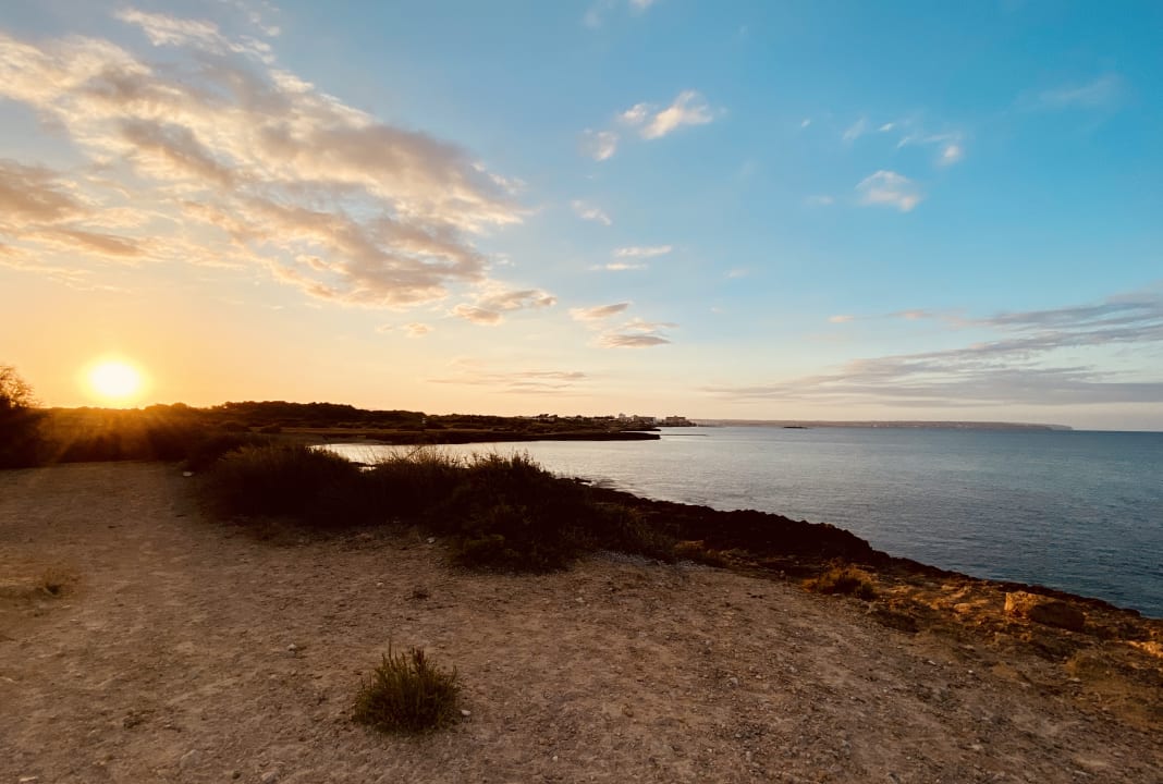 Strand AluaSoul Palma