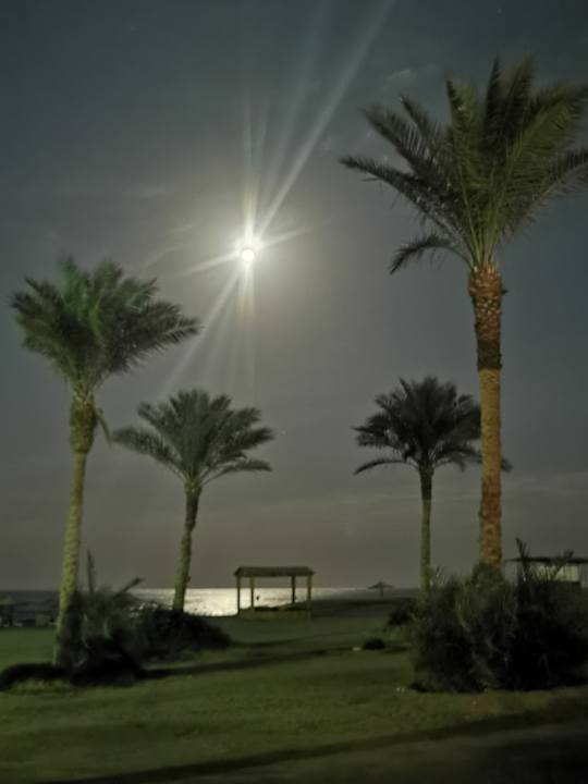 Außenansicht Bliss Nada Beach Resort