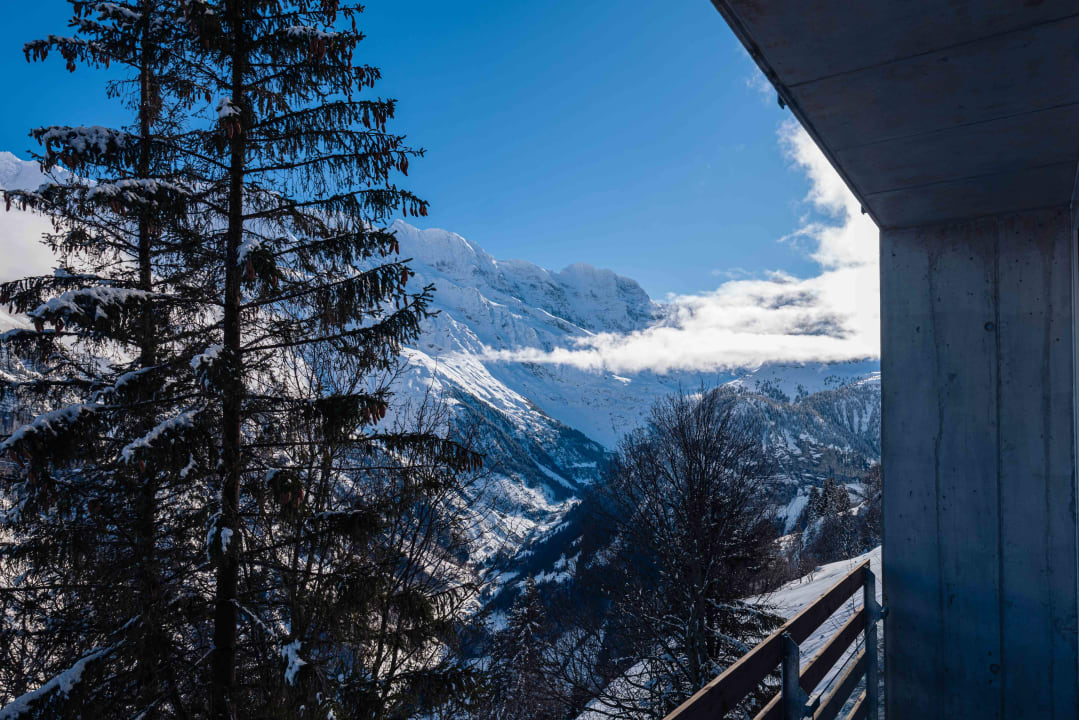 Ausblick Hotel Edelweiss Superior