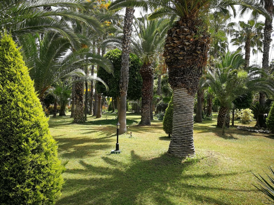 Gartenanlage Hotel Botanik Platinum