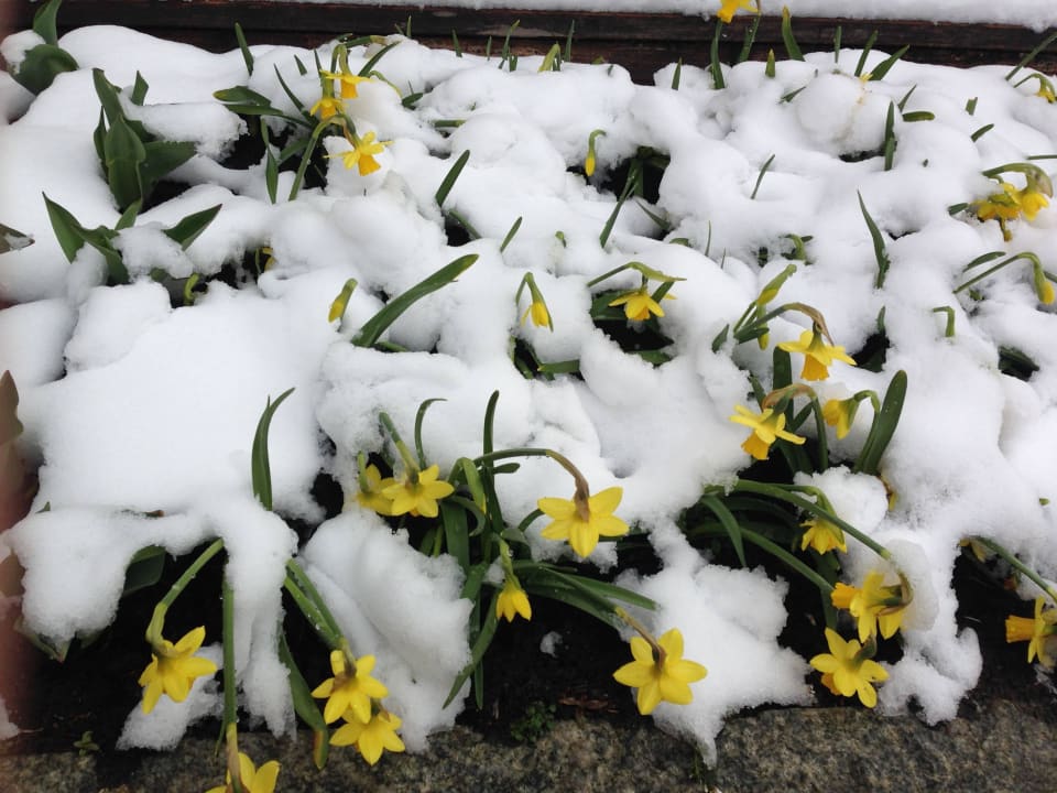 Kann passieren Hotel Klausnerhof