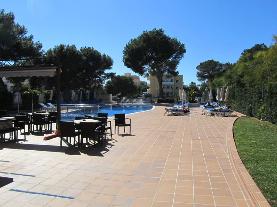 Poolbar Hotel Timor
