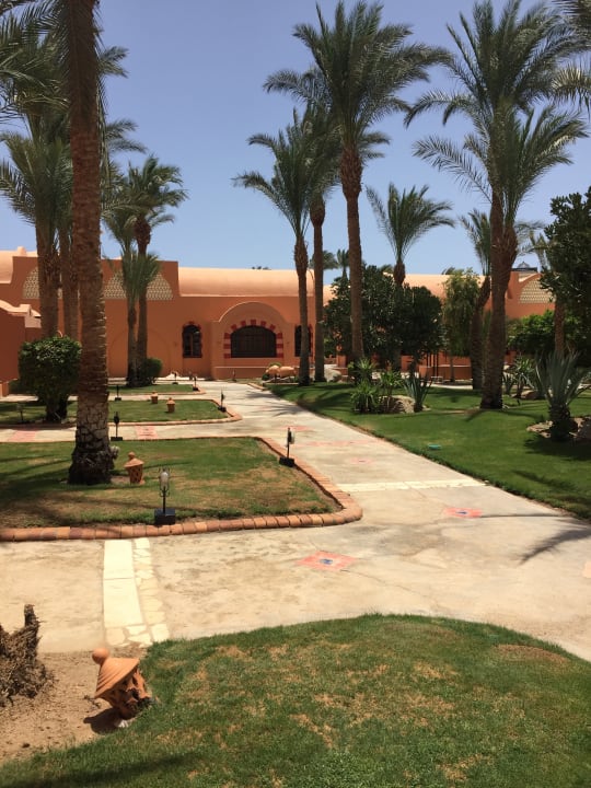 Garten Jaz Makadi Oasis Resort