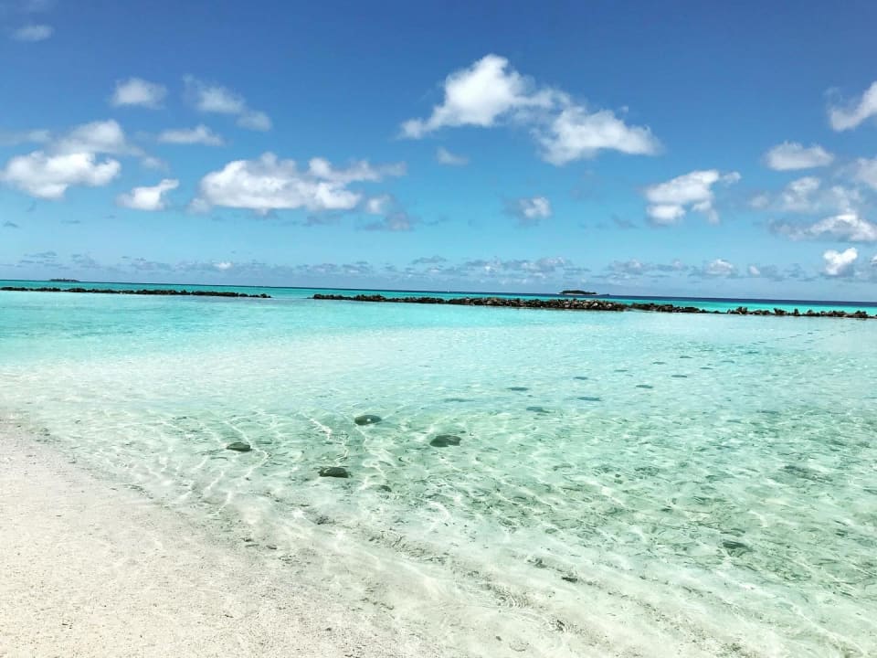 Strand Summer Island Maldives