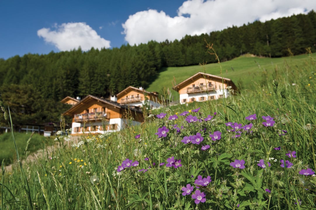 Die Familienalm Taser Familienalm