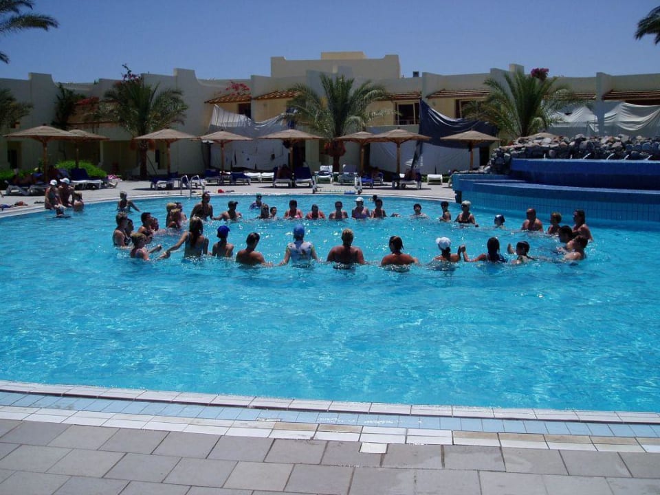 Wassergym. im Pool Palm Beach Resort