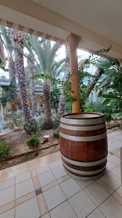 Außenansicht Iberostar Waves Averroes