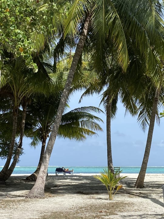 Strand Meeru Maldives Resort Island