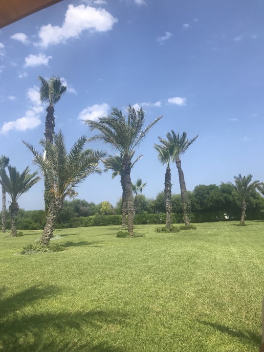 Gartenanlage Iberostar Selection Royal El Mansour