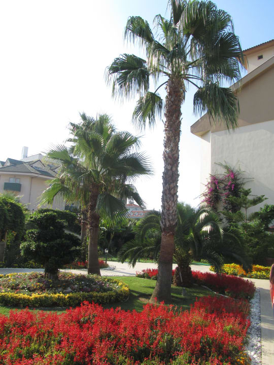 Schöner Garten Grand Seker Hotel