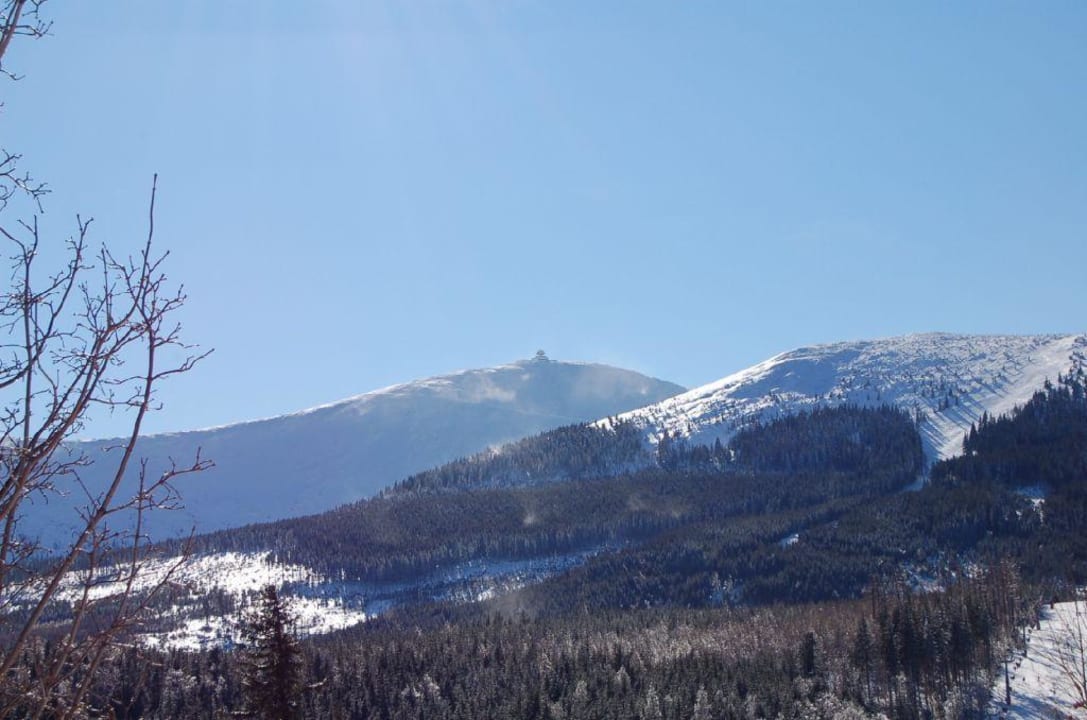 Die Natur direkt vorm Fenster Pensjonat Arnika