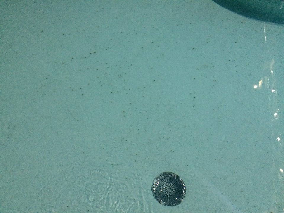 Pool allsun Hotel Lucana