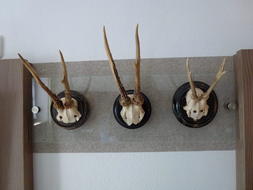 Muss einfach sein! Klasse Gästehaus und FeWo Egglerlehen