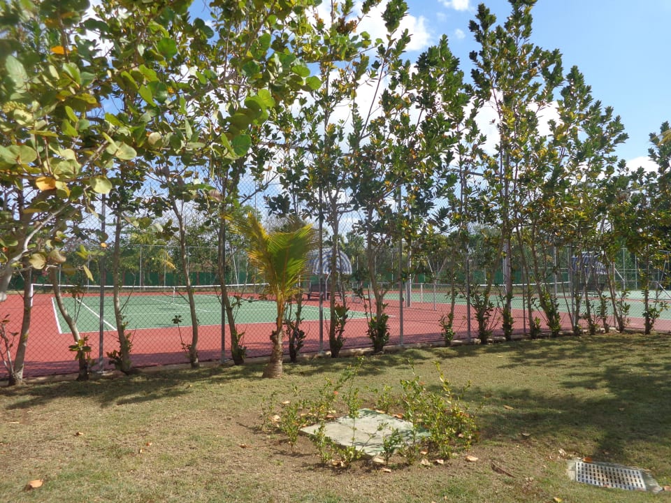 Tennisplatz Blau varadero - Adults only