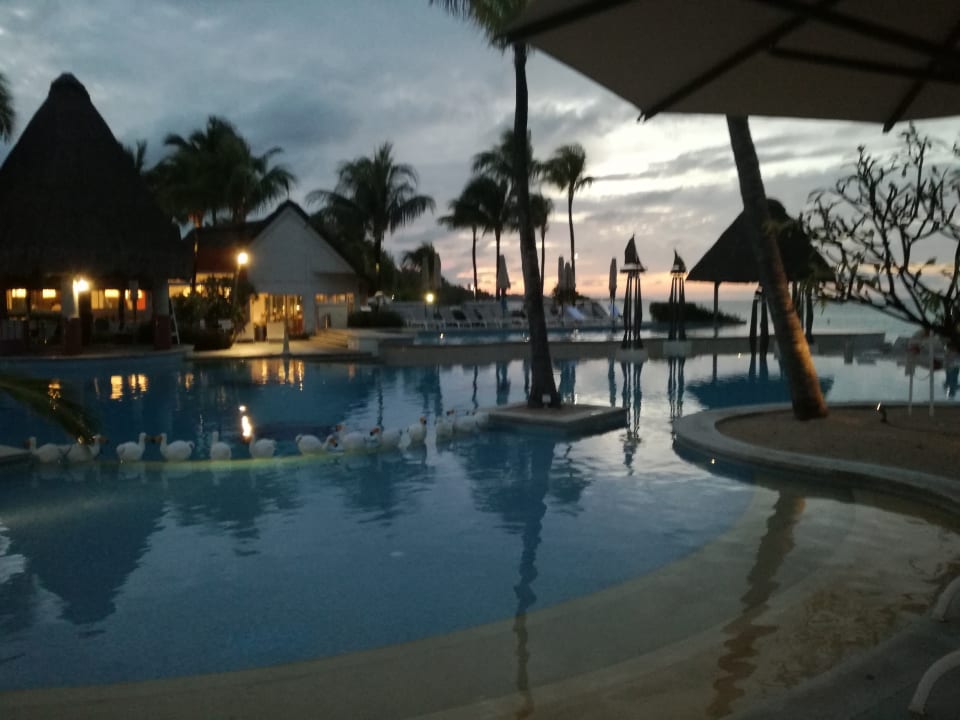 Pool Ambre Mauritius