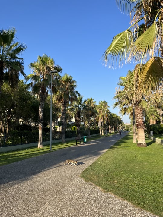 Gartenanlage VONRESORT Golden Coast