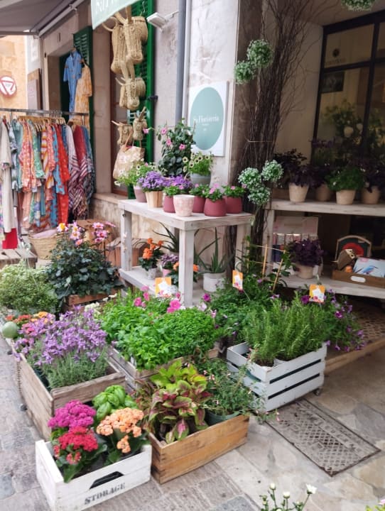 Sonstiges Grupotel Rocador