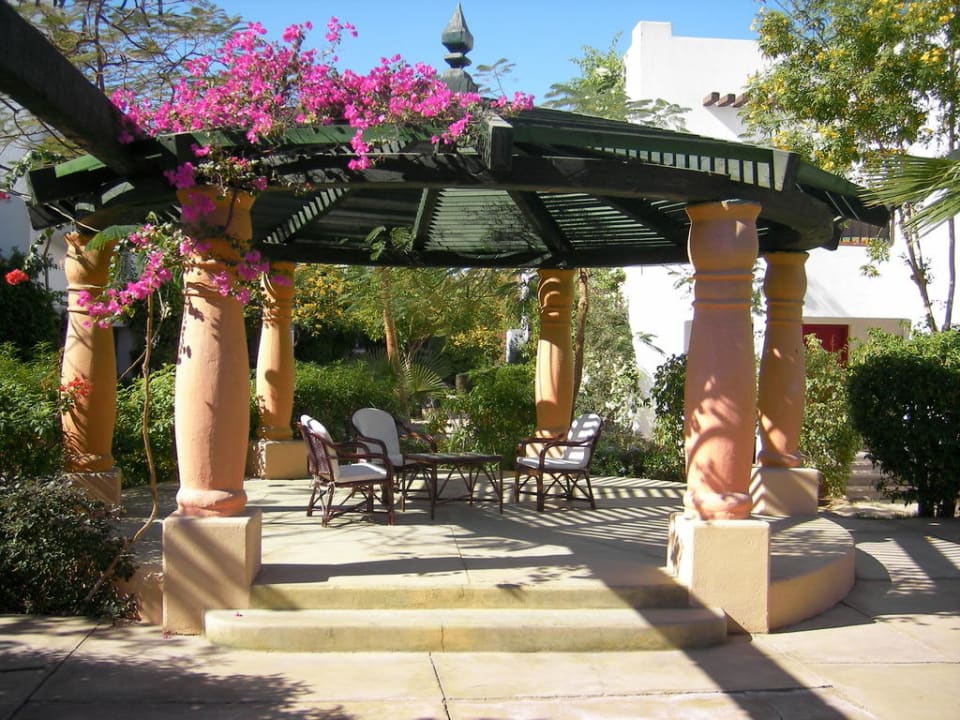 Terrasse Hotel Delta Sharm Resort