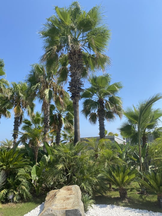 Außenansicht Paloma Finesse