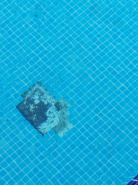 Pool Los Olivos Beach Resort