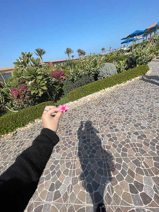 Zimmer Riviera Aqua Park Resort